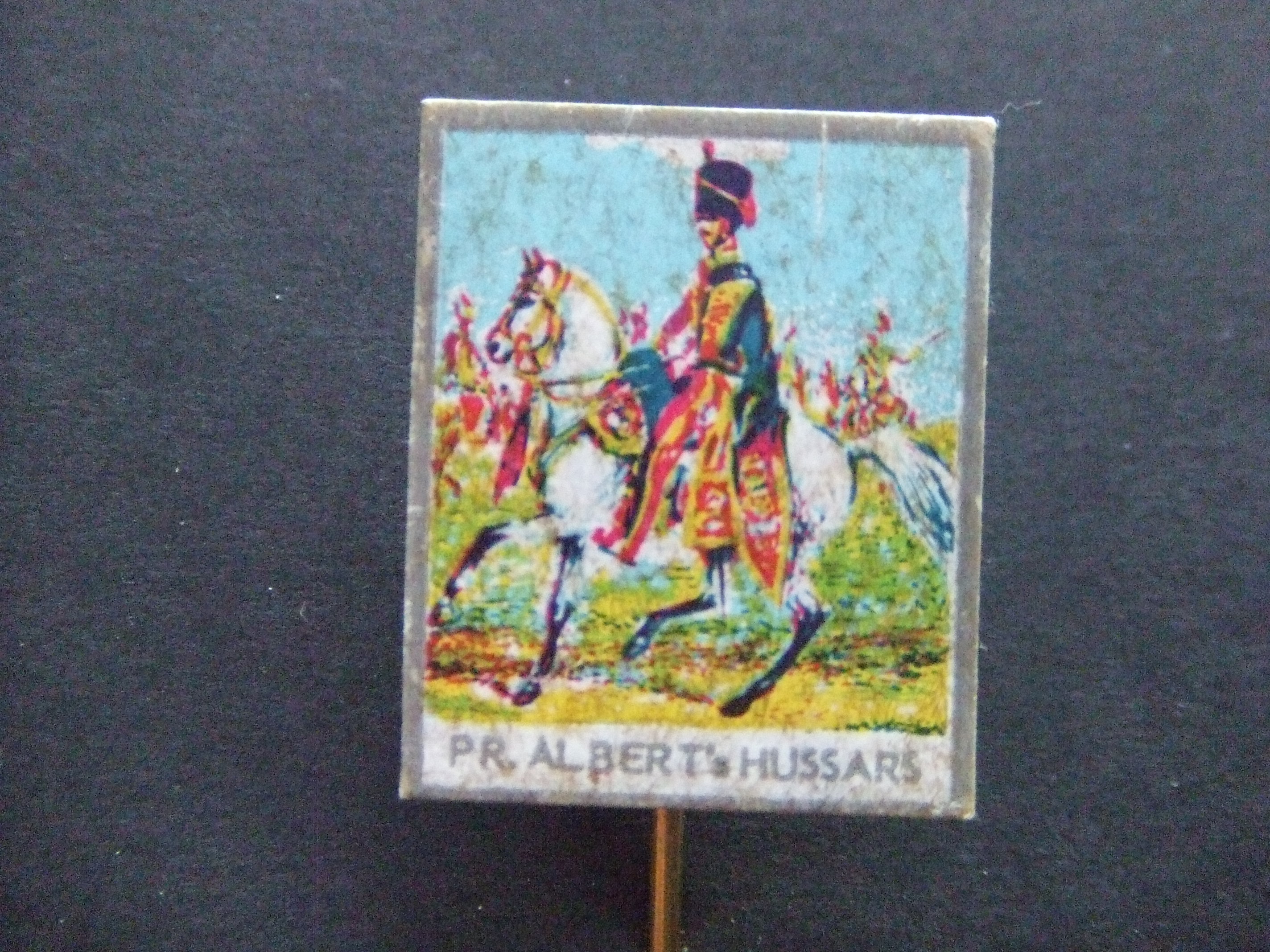 PR. albert's Hussars Prince Albert's Own britse leger